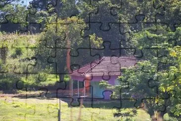 casa entre Ã¡rvores