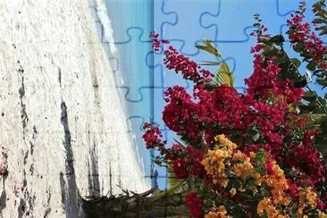 flores