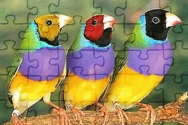 natural jigsaw puzzle