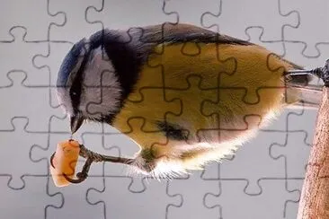 natural jigsaw puzzle