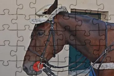 Palermo jigsaw puzzle