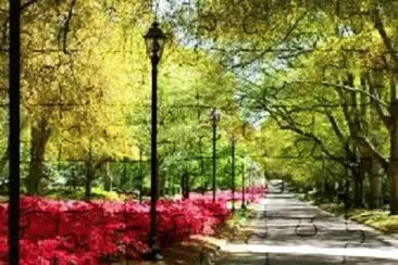 Nature jigsaw puzzle