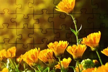 OK jigsaw puzzle