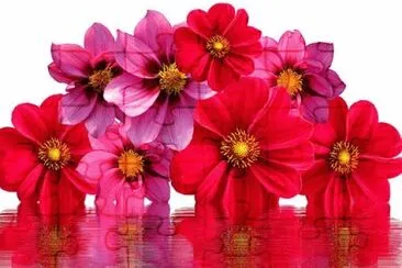 Toy jigsaw puzzle