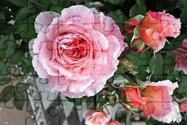flores jigsaw puzzle