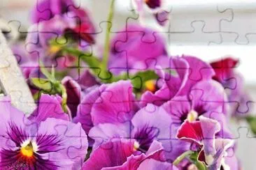flores jigsaw puzzle