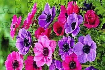 flores jigsaw puzzle
