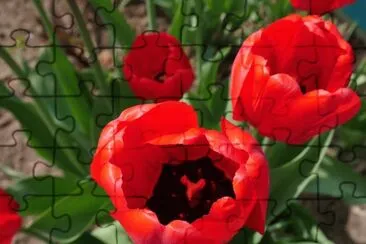 OK jigsaw puzzle