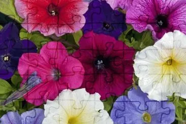 OK jigsaw puzzle