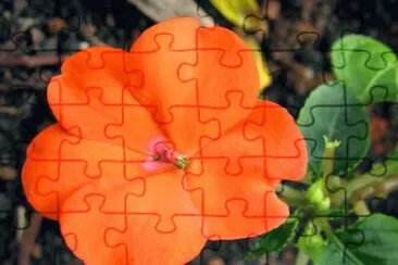 OK jigsaw puzzle