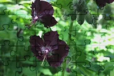 OK jigsaw puzzle
