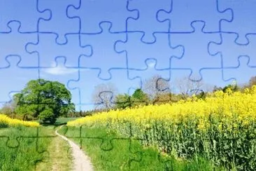 Foto jigsaw puzzle