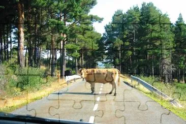 פאזל של en la carretera