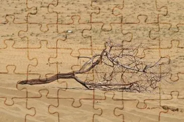 verweht jigsaw puzzle