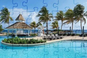 1 jigsaw puzzle