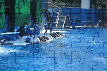 Sea World 1, 2011-Disney   's Travel