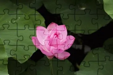 OK jigsaw puzzle