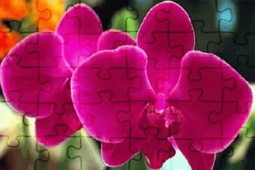 OK jigsaw puzzle