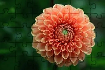 OK jigsaw puzzle