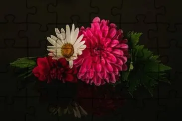OK jigsaw puzzle