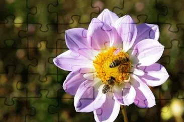 OK jigsaw puzzle