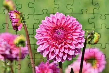 OK jigsaw puzzle