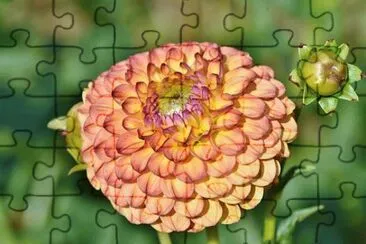 OK jigsaw puzzle
