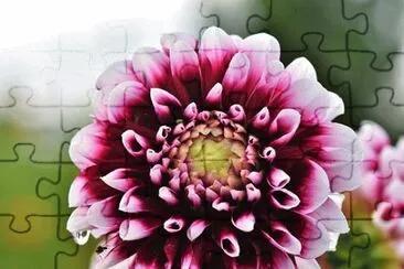 OK jigsaw puzzle