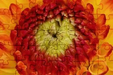 OK jigsaw puzzle