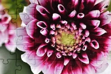 OK jigsaw puzzle