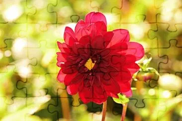 OK jigsaw puzzle