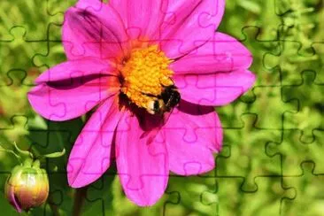 OK jigsaw puzzle