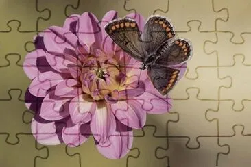 OK jigsaw puzzle