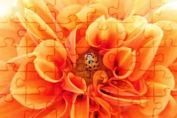OK jigsaw puzzle