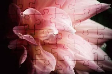 OK jigsaw puzzle