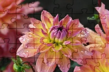 OK jigsaw puzzle