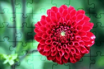 OK jigsaw puzzle