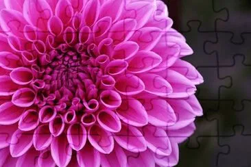 OK jigsaw puzzle