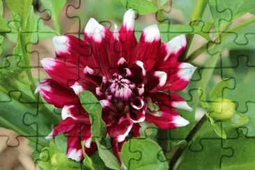 OK jigsaw puzzle