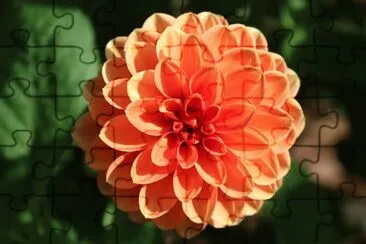 OK jigsaw puzzle