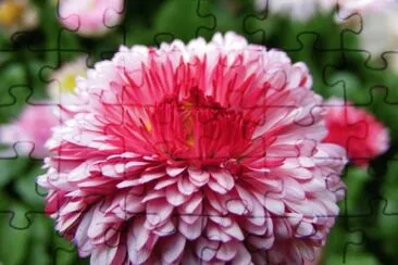 OK jigsaw puzzle