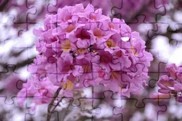 OK jigsaw puzzle