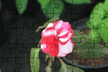 OK jigsaw puzzle