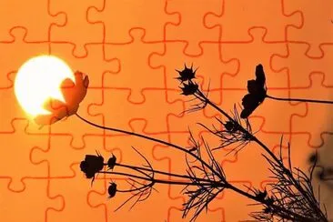 flores jigsaw puzzle