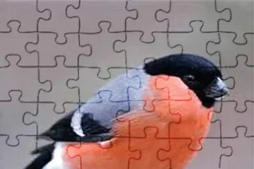 natural jigsaw puzzle