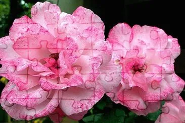 OK jigsaw puzzle