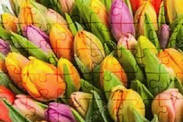 OK jigsaw puzzle