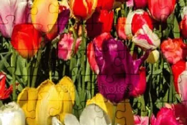 OK jigsaw puzzle