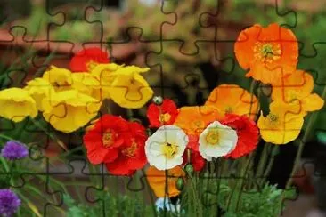 OK jigsaw puzzle