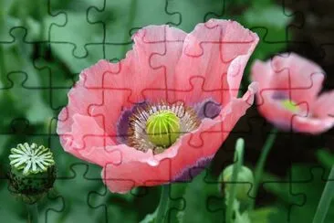 OK jigsaw puzzle